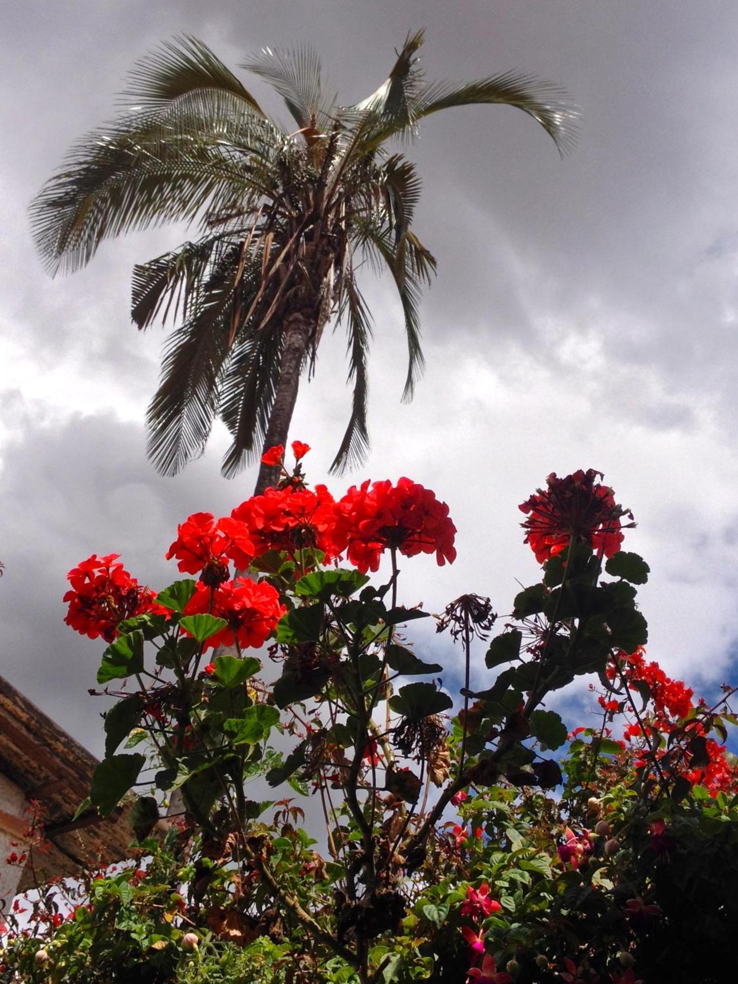 Casa Macondo Bed & Breakfast Cuenca Esterno foto